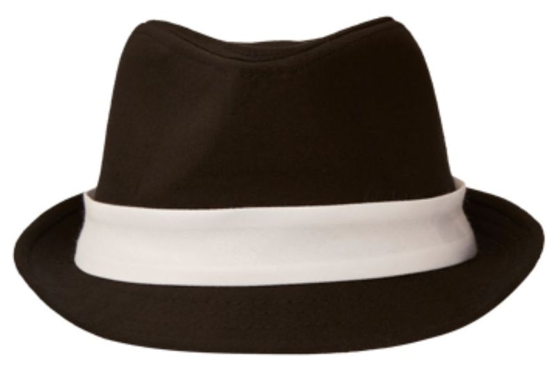 Pepperst Fedora Hat With White Band image