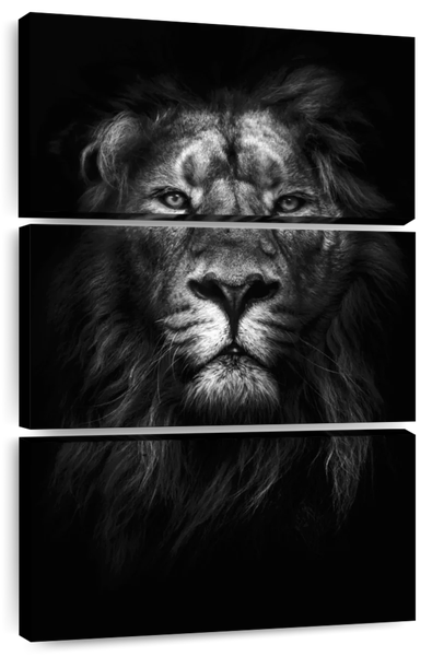 Canvas Art - King Of Kings Lion 3 Piece Canvas Wall Art Interior Decor