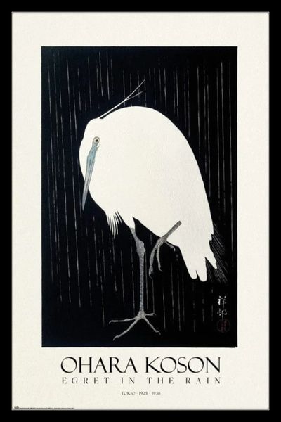 Egret in the Rain Poster with Black Frame