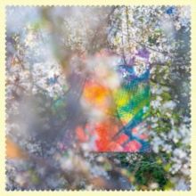 Sixteen Oceans (CD / Album)