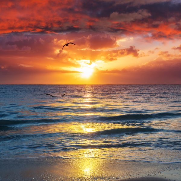 Canvas Wall Art - 1000 x 1000 - Sunrise over Sea