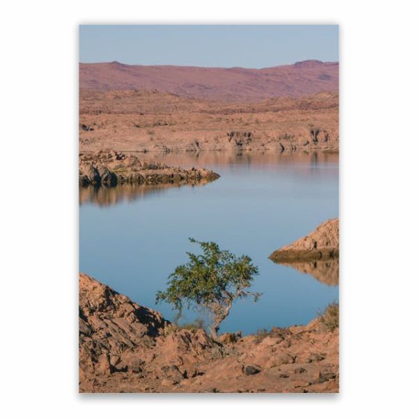 African Landscape And River Poster - A1