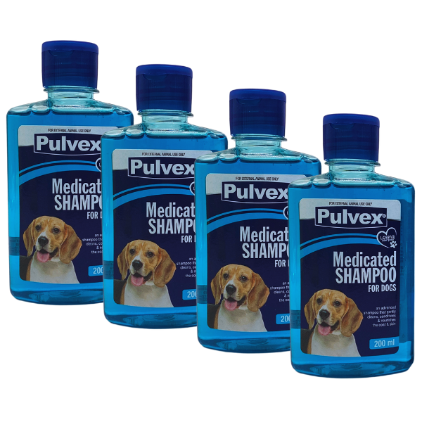 Pulvex Medicated Dog Shampoo 200ml - Pack of 4