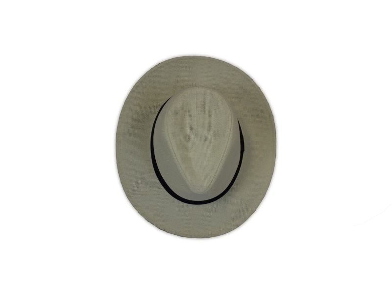 Men Hat Straw Panama