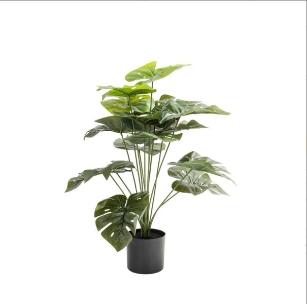 Thumbnail product image - 1
