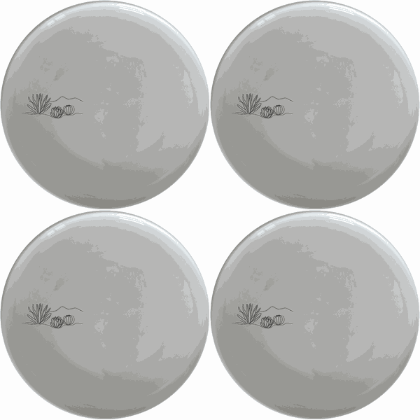 Karoo Desert Landscape Succulent Plants Dinner Plate Set of 4 - Range 1