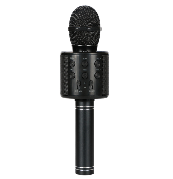 Karaoke Microphone Wireless Bluetooth, Portable Handheld Mic Speaker