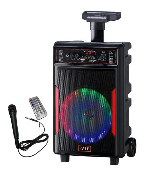 8" Wireless Portabel Speaker with microphone, remote, color lights JT828