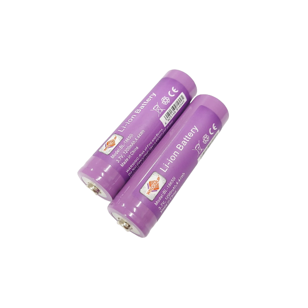 WISDOMUP - BL-18650 - Lithium-Ion Battery Pack of 2