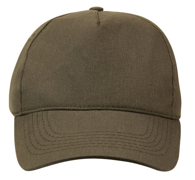 Dad Hat - Olive image
