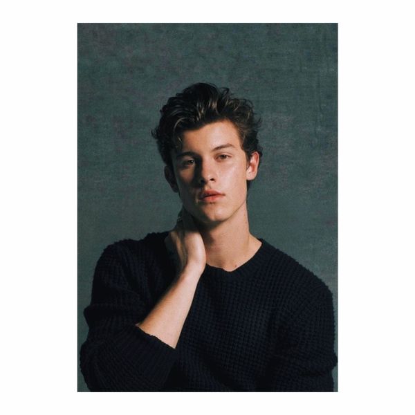 Shawn Mendes - A1 Poster