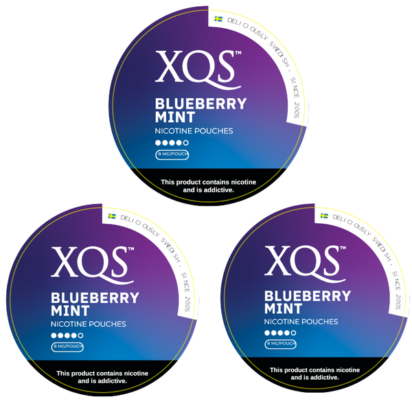 XQS Nicotine Pouches - Blueberry Mint x 3