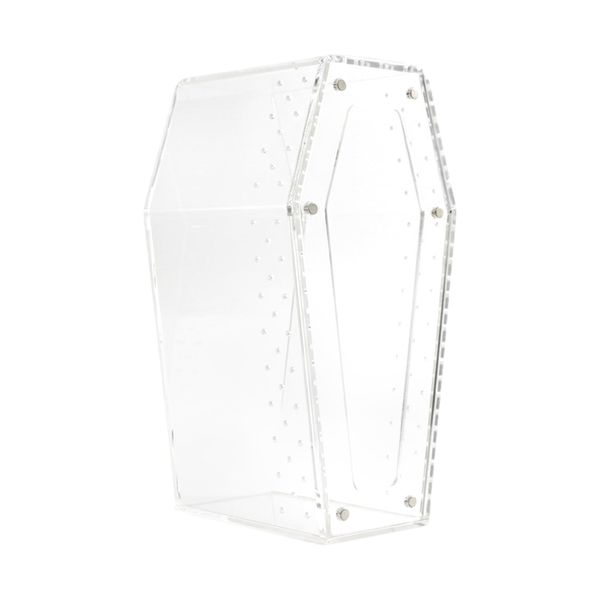 Clear Acrylic Jumping Spider Enclosure - 10x10x20cm
