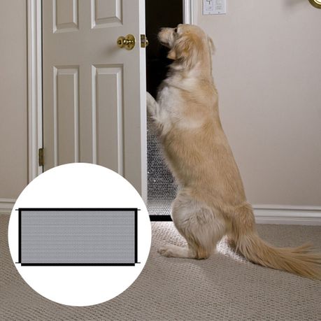 Indoor barrier for clearance dogs