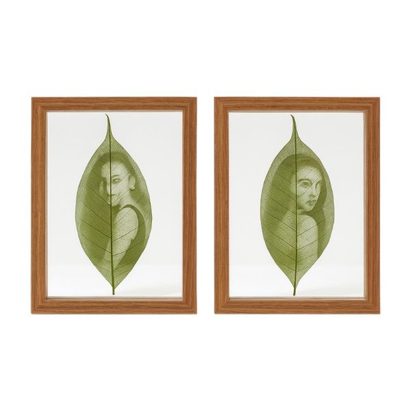 2 Piece - A4 Double-Sided Transparent Glass Plant Specimen Frame - Walnut