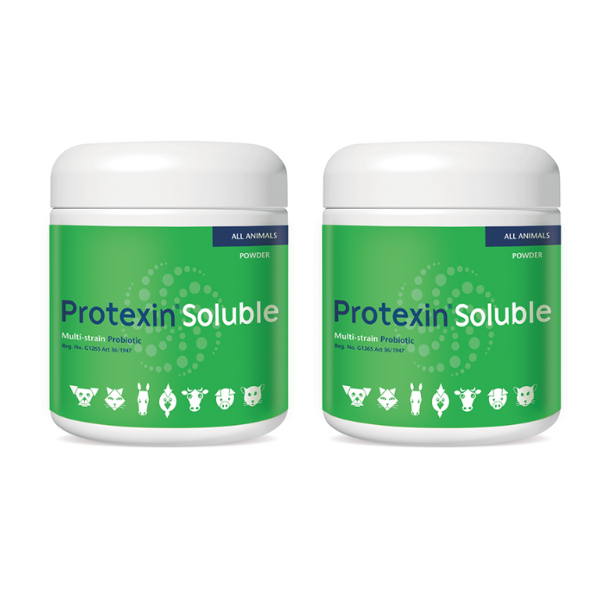 Protexin Soluble Probiotic for Dogs, Cats &amp; Horses 250g - 2 Pack
