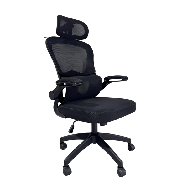Furnny Ergonomic Office Chair with Adjustable Dual Lumbar Support Headrest