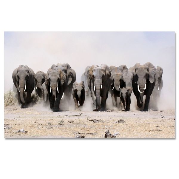 Large A1 size Canvas Print – Elephant