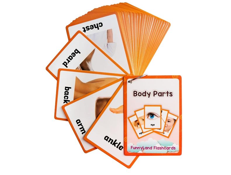 Body Parts Flash Cards, Toddler &amp; Preschool Learning Toys, Kindergarten