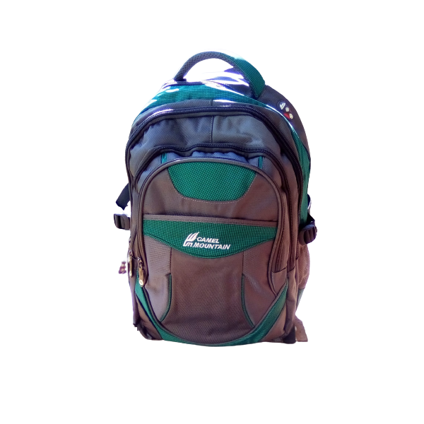 Camel mountain school backpack bag- Grey &amp; green