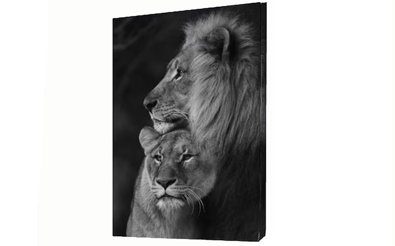 White, Black "Majestic Love" Cotton Canvas cm Animals Wall Art