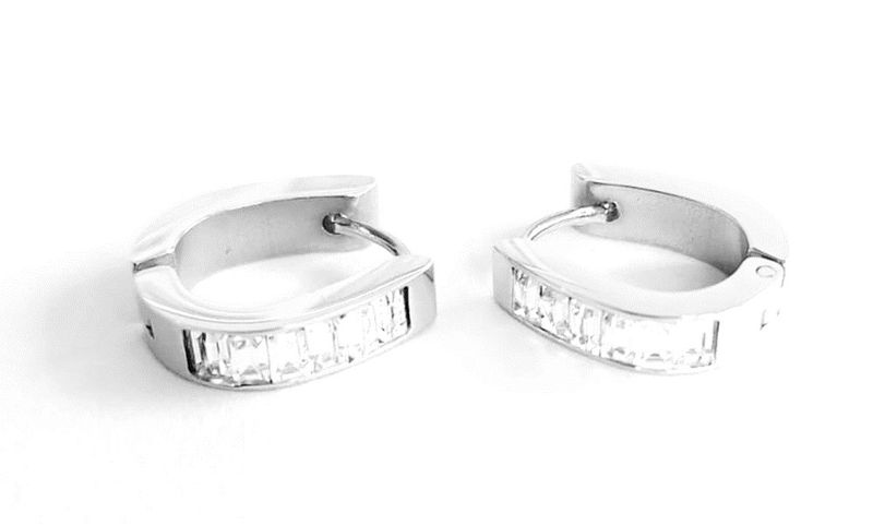 Stainless steel horse shoe style hoop earringwith ziconia insert