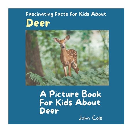 Deer info store for kids