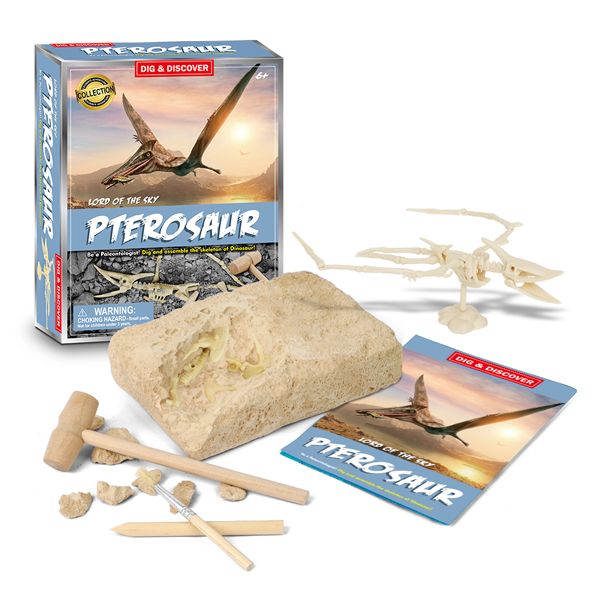 Junior Archaeology Dig Kit - Pterosaur