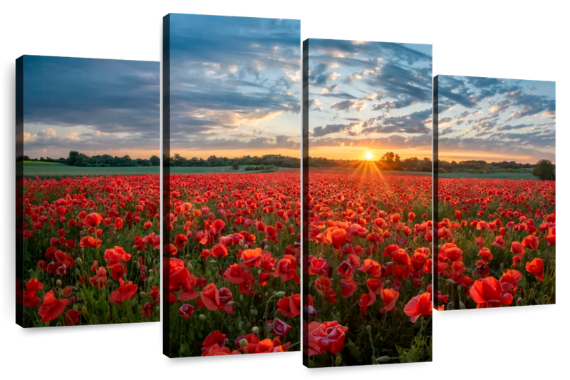 Canvas Art - Poppy Field 4 Piece Canvas Wall Art For Living Bedroom Decor