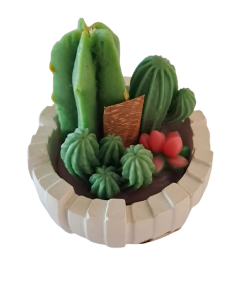 Handmade Desert Oasis Cactus Wax Candle, 10cm Vanilla, Regular Candle