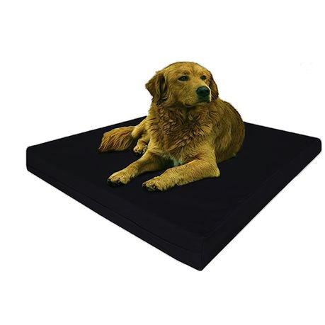 Dog beds takealot hotsell