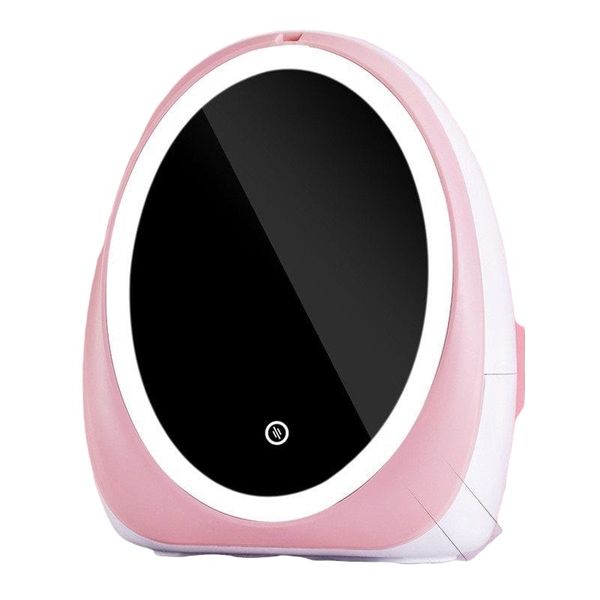 Makeup Organizer With LED Mirror Light - White/Pink