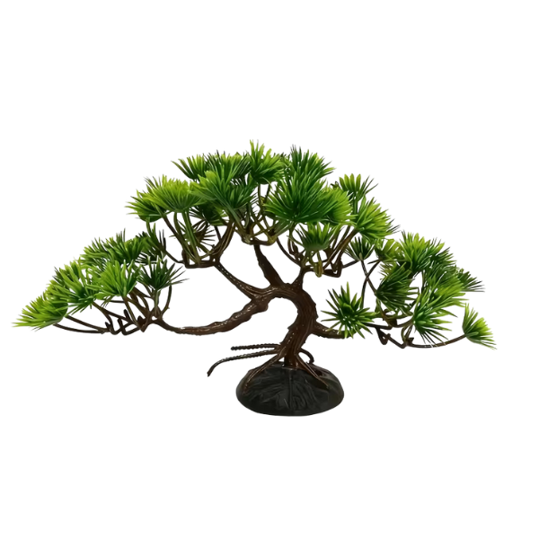 Banyan Tree Aquarium Plant