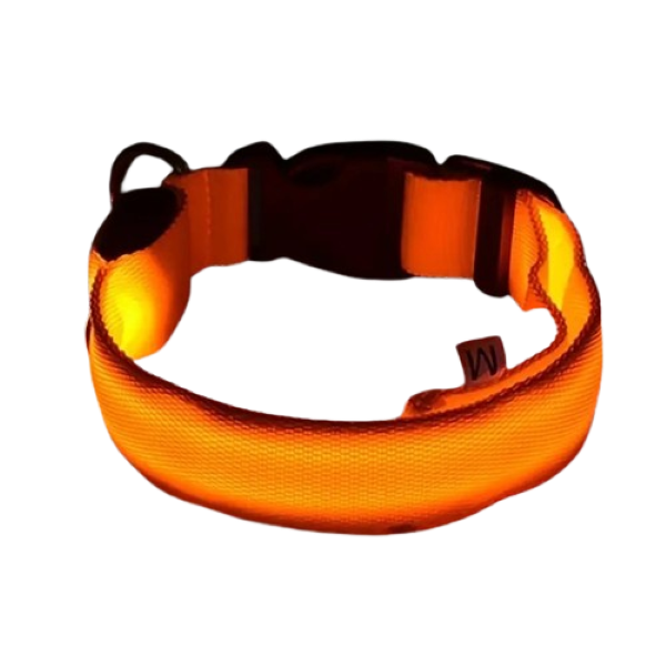 LED Light up Dog Collar