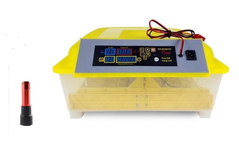 Egg Incubator 56 plus Candling Torch
