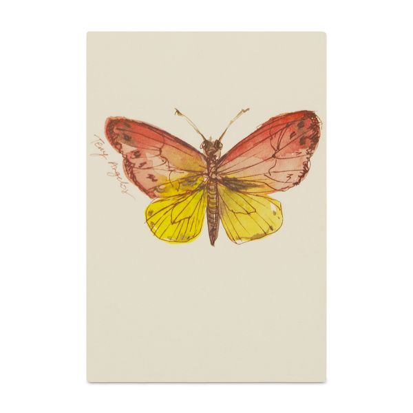 Gift Cards - Multi-Purpose - Butterfly Design - 5 Pack