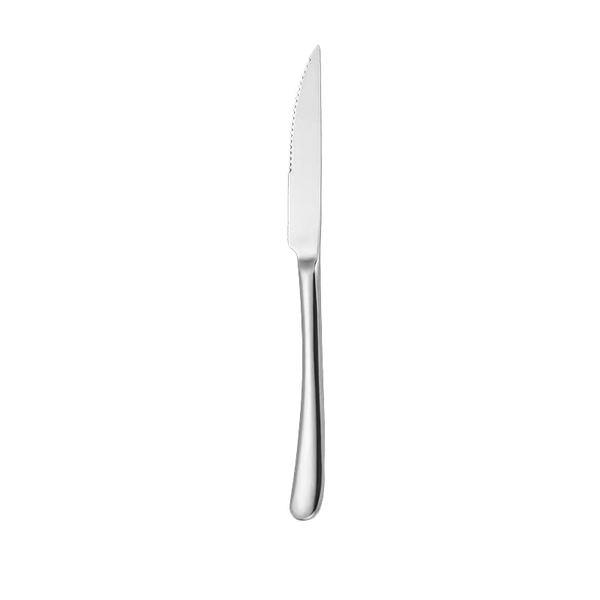 Stainless steel Table Knife
