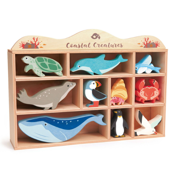 Tender Leaf Wooden Sea Coastal Creatures Range