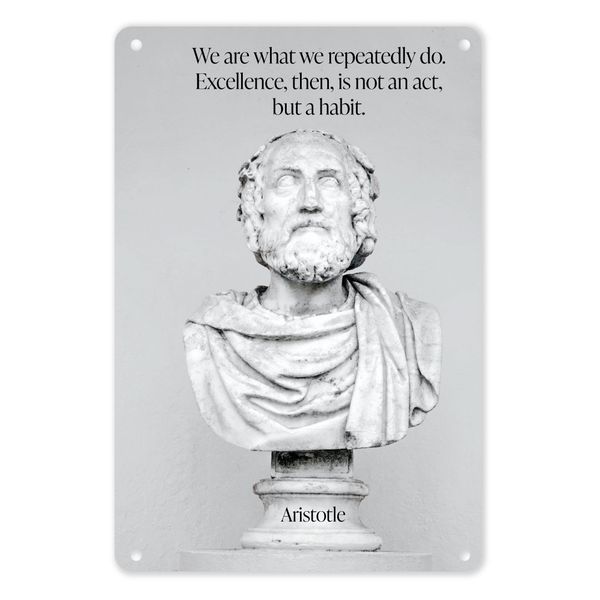 A4 Metal/Tin Poster - We Are What We Repeatedly Do | Aristotle (Motivation)
