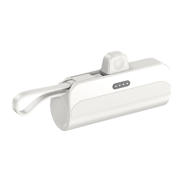 Portable Fast Charging Power Bank with Built-in Lightning &amp;Type C cable