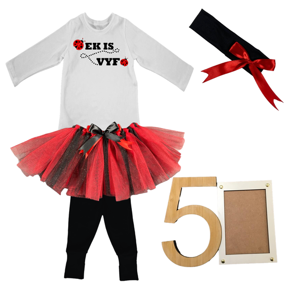 5th Birthday- Lady Bug Tutu With Headband And Photo Frame - Afrikaans