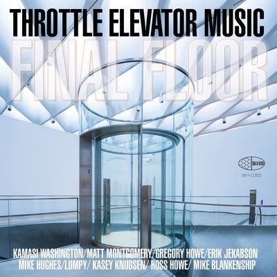 Final Floor (Vinyl / 12" Album)