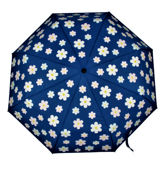 Magic Colour Changing Umbrella