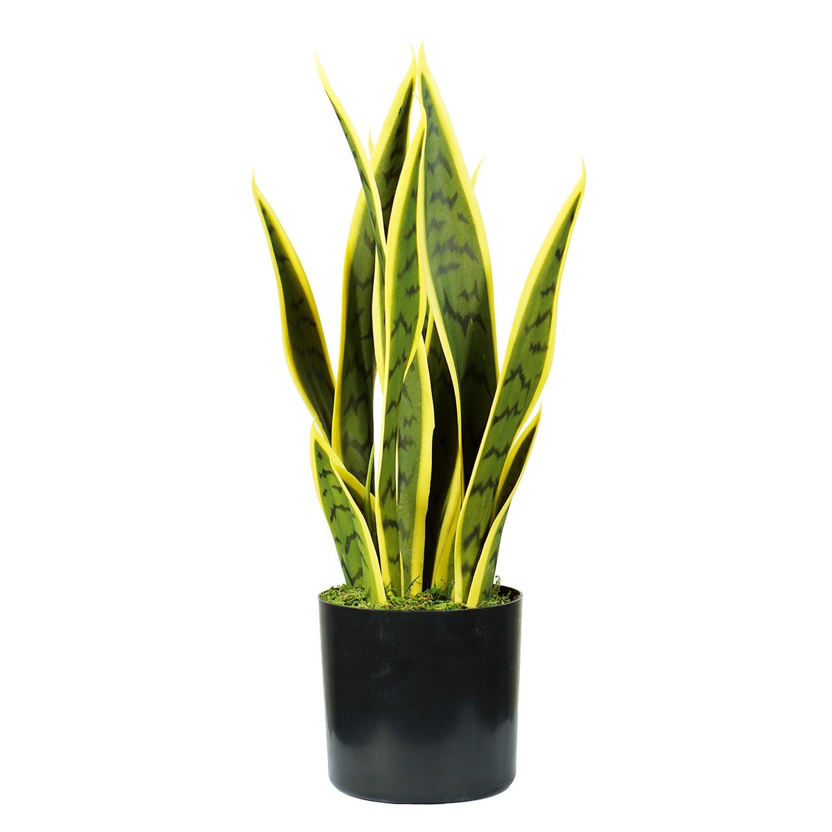 Artificial Snake Plant Pot Plastic Sanseviera Decor Shop