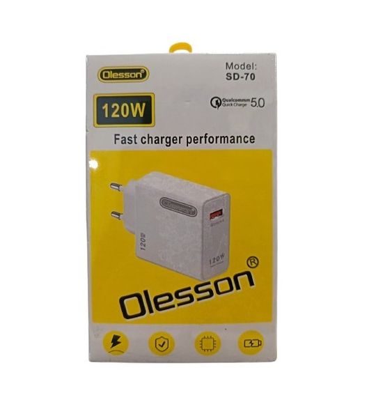 Olesson 120W Fast Charger for Cellphone or Laptop