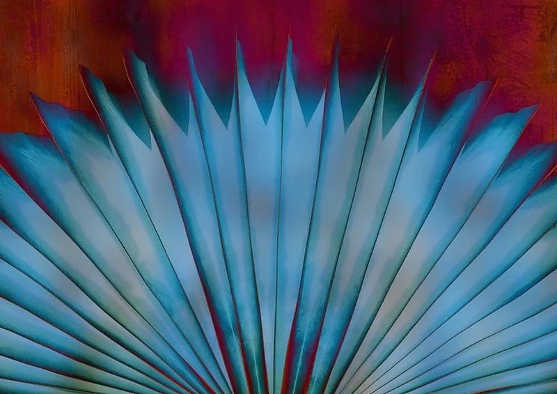 Premium Framed Canvas Print: Blue Peacock