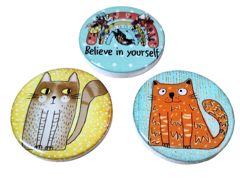 Rainbow Cat Combo 3 Fridge Magnets