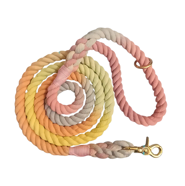 Rainbow Rope Dog Collar Leash