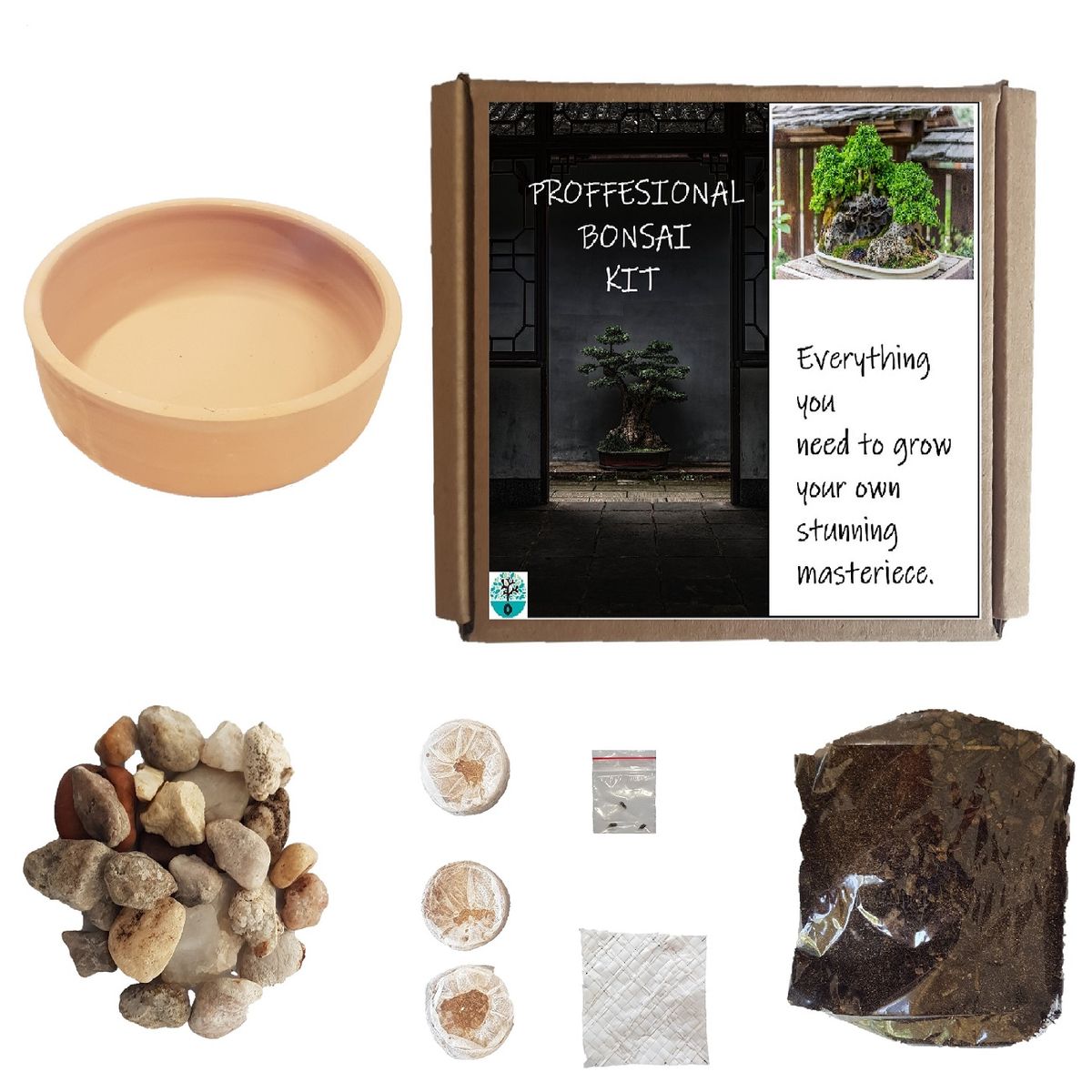 Bonsai growing gift box. Indigenous tree seeds Acacia Rehmanniana Buy