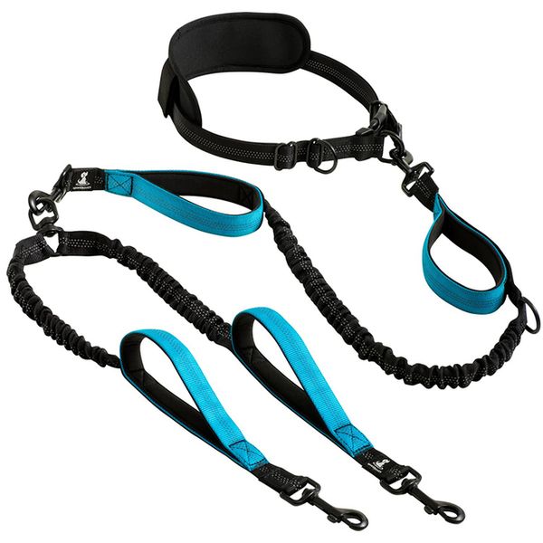 Padded Handle Dual Pet Lead Blue